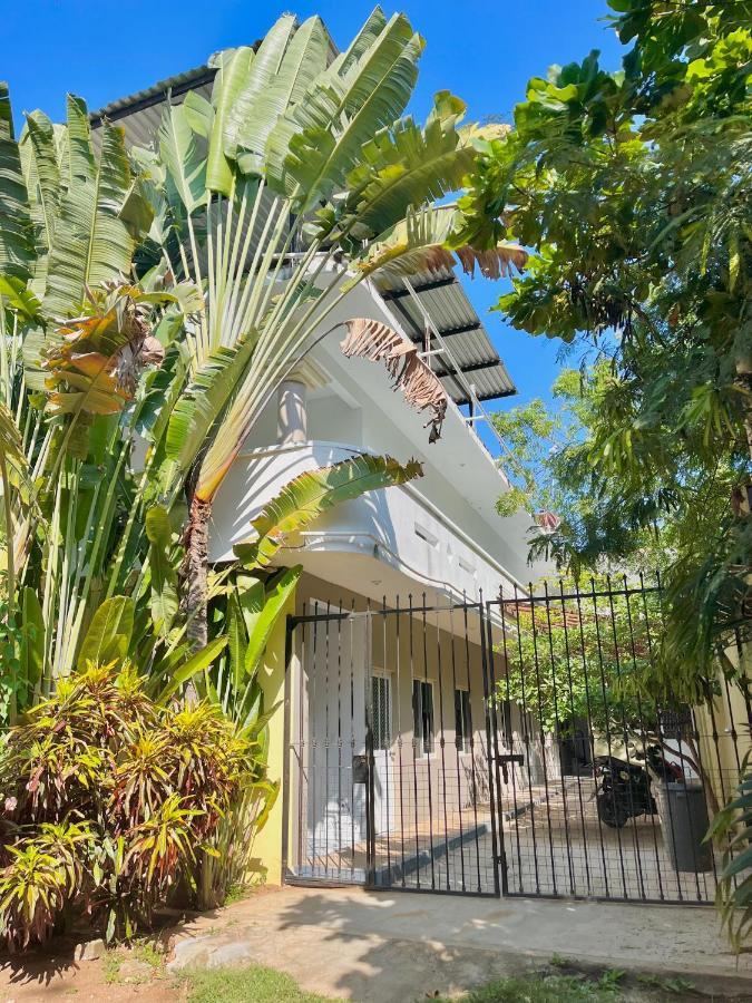 Single Fin & La Punta Zicatela Mini-hôtel